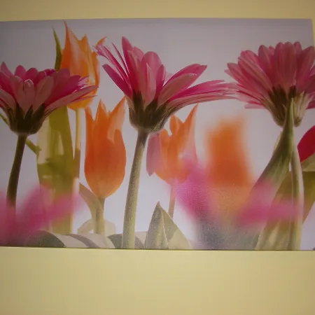 Hotel Serenella Turín